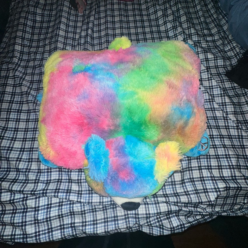 Colorful Plush Pillow Pet